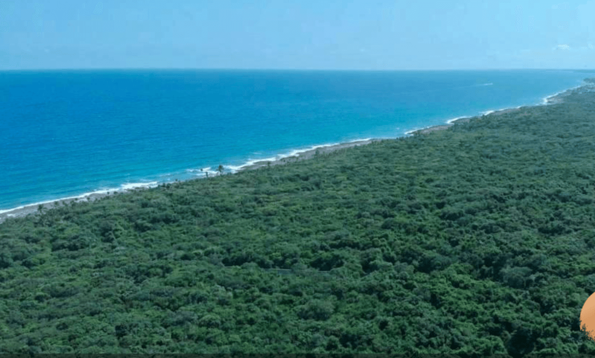 Branded residences en la Riviera Maya: qué significa que Viceroy llegue a Playa del Carmen