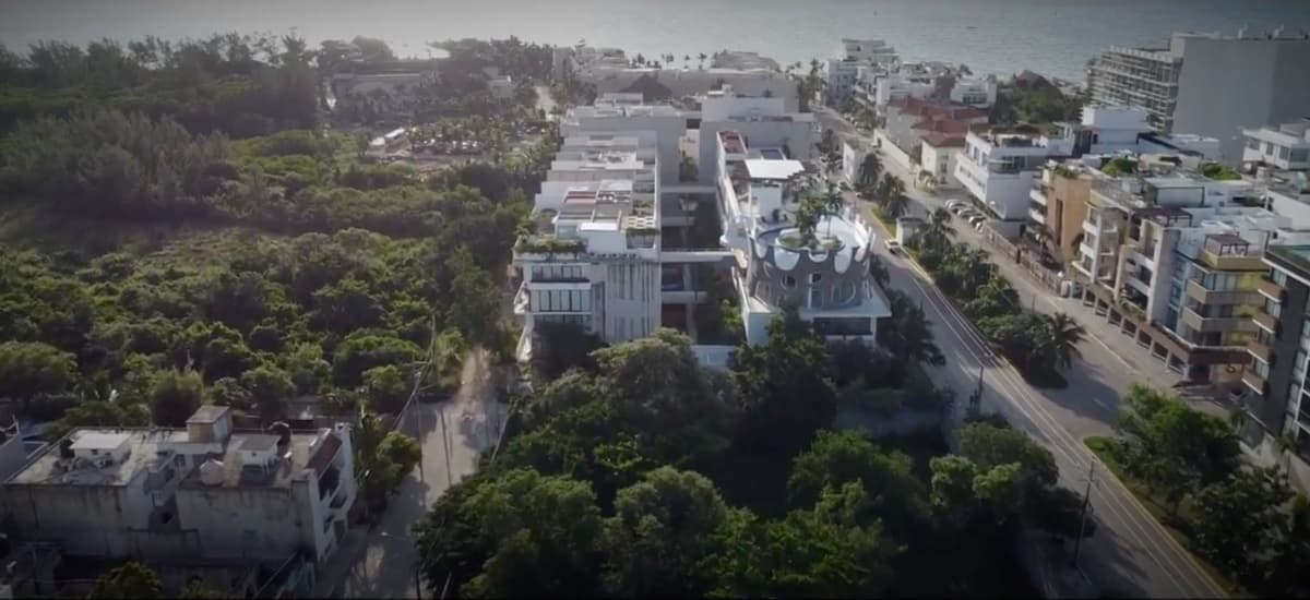El muelle: el cruce a Cozumel y el primer cuadro de Playa del Carmen