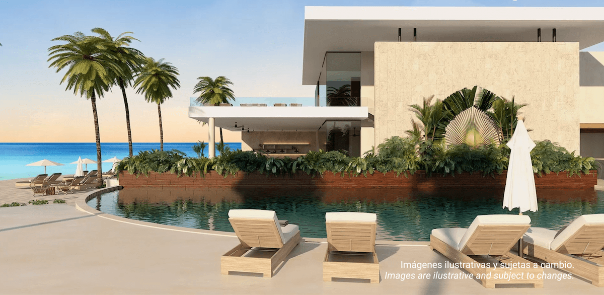 Sargassum and Your Property Value: What Caribbean Data Actually Shows